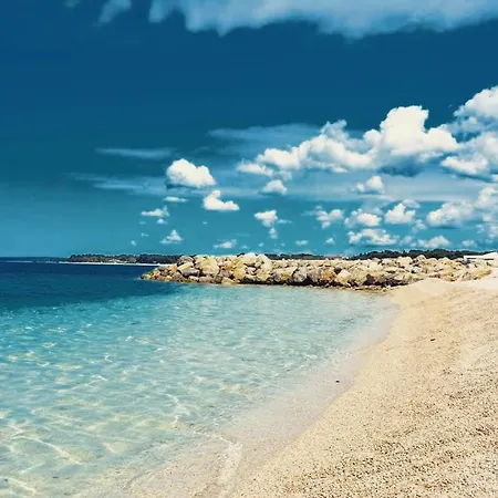 Ivanisevic プーラ